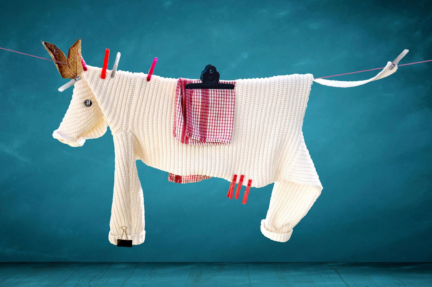 SPECTACLE : CORDALINGE (Y’A DU MONDE SUR LA)