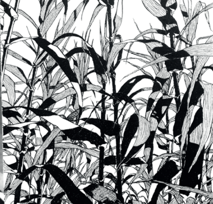 PRIMAVERA, LIGNES FERTILES  : RENCONTRE ET DESSINS AU JARDIN