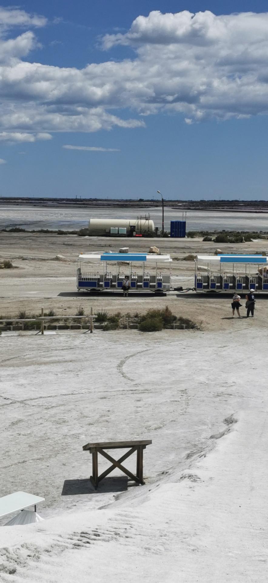 EXCURSION EN MINI-BUS AVEC O'THAUBUS : AIGUES-MORTES ET LES SALINS