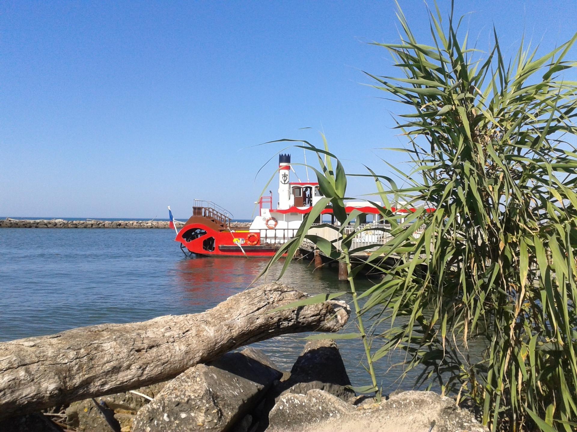 ESCAPADE EN MINI-BUS AVEC BUSCAPADE : LA CAMARGUE ET AIGUES MORTES