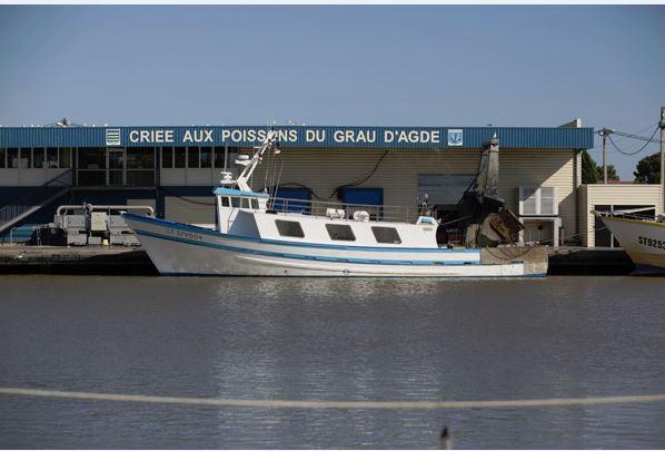 ESCAPADE EN MINI-BUS AVEC BUSCAPADE : LA CRIÉE D'AGDE