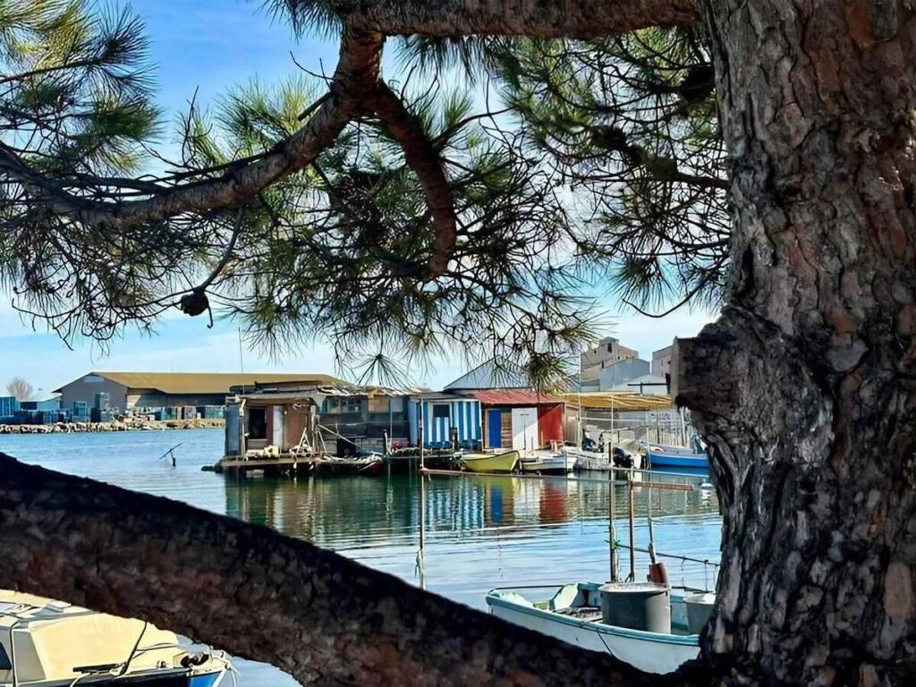 VISITE DE LA POINTE-COURTE À BORD DE L'ECOTHAU