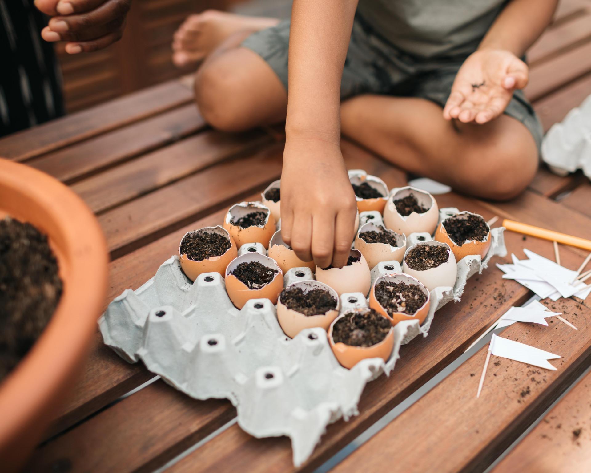 ATELIER : GRAINES D'OEUFS